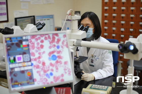 NSP통신-화순전남대병원 의료진과 연구자들이 환자별 맞춤형 암진단과 치료를 위한 연구에 열중하고 있다. (화순전남대병원)
