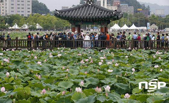 NSP통신-전주 덕진공원 연꽃 축제