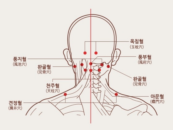 NSP통신-셀프로 간단하게 목과 어깨의 주요 혈자리를 지압할 수 있다. (목통증짱짱 제공)