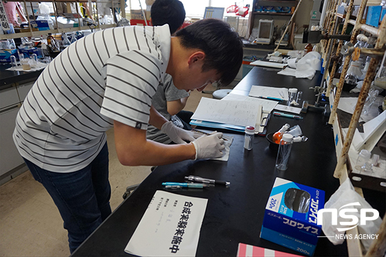 NSP통신- (전북대학교)