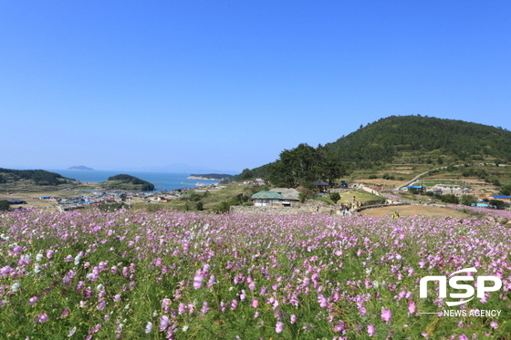 NSP통신-코스모스핀 청산도 전경 (완도군)