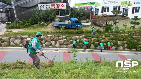 NSP통신-부산 북구 만덕2동 새마을단체가 제초작업을 진행하고 있는 모습. (북구 제공)