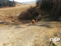 [NSP PHOTO]경남 산청군, 내년 2월까지 순환수렵장 운영