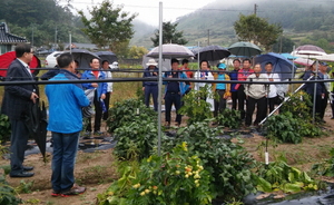 [NSP PHOTO]함평군 농업기술센터, 기술보급 종합평가회 개최