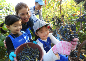 [NSP PHOTO]삼성, 전 세계 38개국 17만 임직원 자원봉사