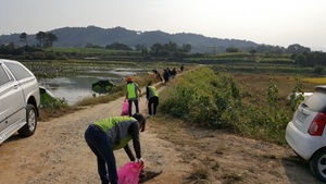 [NSP PHOTO]농어촌공사 곡성지사, 내 고향 물 살리기 환경정화행사 실시