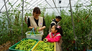 [NSP PHOTO]대한항공, 1사1촌 마을 일손 돕기 12년째 전개