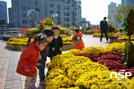 NSP통신-축제 현장을 찾은 아이들이 국화꽃을 감상하고 있다. (동구 제공)