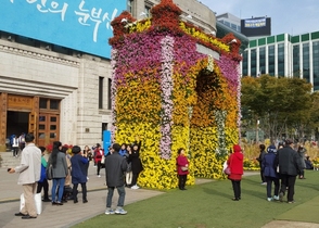 [NSP PHOTO]함평 국화, 서울광장 국화향으로 가득