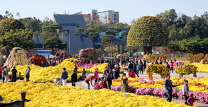 [NSP PHOTO]함평군, 2015 대한민국 국향대전 17일간 대장정 마무리