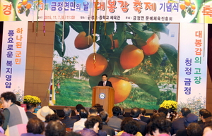 [NSP PHOTO]영암군, 금정 대봉감 축제 성료