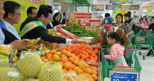 [NSP PHOTO]전남농협, 영암군 대표농산물 특판전 개최