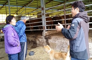 [NSP PHOTO]전남농협, 한우농가에 행복 바이러스 전파