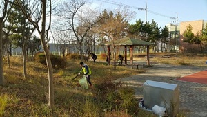 [NSP PHOTO]군산시 경제항만국, 산업단지 합동 일제정비