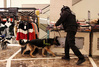 [NSP PHOTO]테러범 꼼짝 마 신세계백화점 센텀시티점·민·관·군  합동 대테러 종합훈련 실시