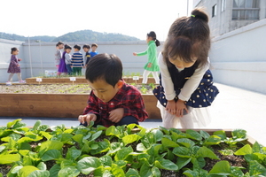 [NSP PHOTO]광주 동구, 도심텃밭 통한 이웃사랑 나눔 실천