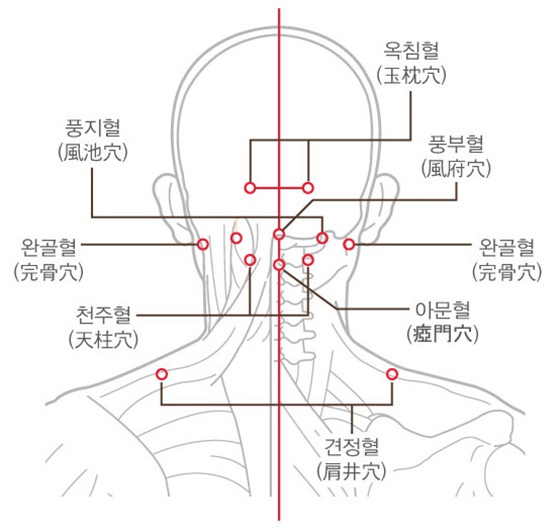 NSP통신-주요 혈자리를 지압해 목과 어깨 통증을 완화시킨다. (목통증짱짱 제공)