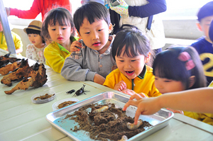 [NSP PHOTO]순창군, 곤충사육 등 신소득작목 육성 13억원 투자