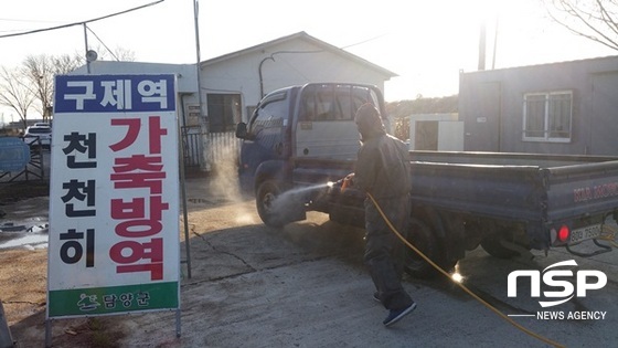 NSP통신-담양군이 구제역 예방을 위한 방제활동을 펼치고 있다. (담양군)