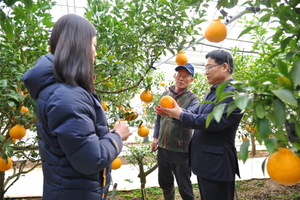 [NSP PHOTO]완도군, 자연그대로 유기농 부지화 출하