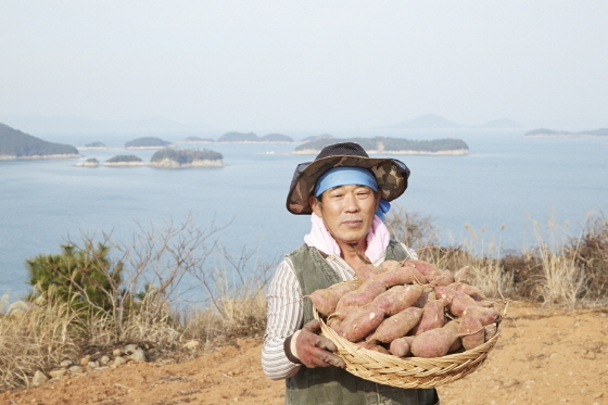 NSP통신-이마트 국산의힘 프로젝트 욕지도고구마 문권홍 파트너 (이마트 제공)