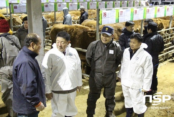 NSP통신-강남경 전남농협 본부장(사진 왼쪽에서 두번째)이 21일 새벽 가축시장을 방문해 축산농과 대화를 나누고 있다. (전남농협)