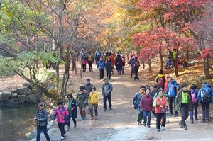 [NSP PHOTO]순창군, 강천산 관광전용 도보길 조성