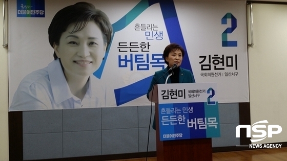 NSP통신-김현미 국회의원 20대 총선 출마 기자회견 모습 (강은태 기자)