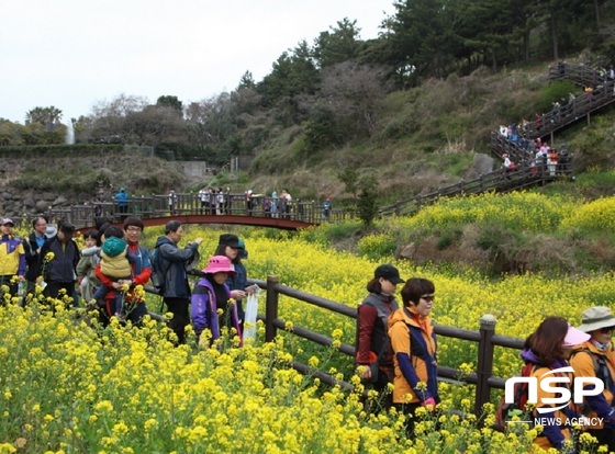 NSP통신-지난해 국제걷기대회에 참가자들이 유채꽃밭을 지나고 있다. (서귀포시관광협의회)