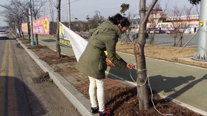 [NSP PHOTO]영암군, 개학 맞아 학교주변 불법광고물 일제정비