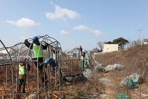 [NSP PHOTO]전북농협, 고창 폭설피해 농가 재해복구 지원 나서