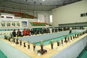 [NSP PHOTO]무안군 새봄 난꽃축제와 함께하세요