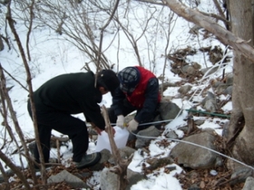 [NSP PHOTO]포항 죽장고로쇠 수액 이마트 인덕점서 판매