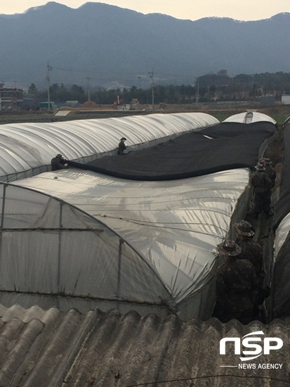 NSP통신-담양군 창평면 제6753부대 4대대 장병들이 지난 16일 노후 시설 하우스 철거작업을 돕고 있다. (담양군)