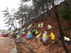 [NSP PHOTO]여수시산림조합-여수YMCA, 시민참여 나무심기 행사 개최