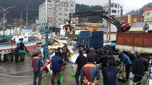 [NSP PHOTO]울릉군, 해양쓰레기 수거로 청정바다 지킨다