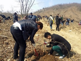 [NSP PHOTO]장흥군,  경제수림 식재 미래가치 높인다···24일 식목행사 개최
