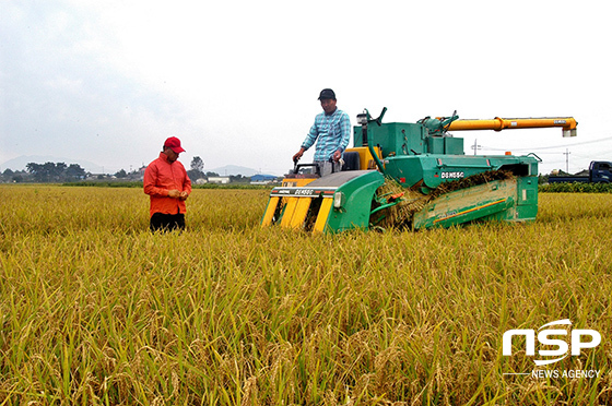 NSP통신- (정읍시)