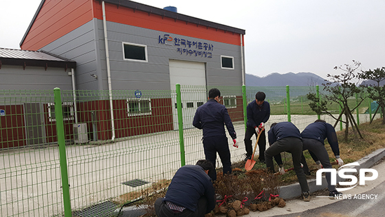 NSP통신-31일 한국농어촌공사 전북지역본부 직원들이 완주군 소재 지하수장비창고 주변에 철쭉묘목을 심고 있다