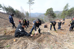 [NSP PHOTO]봉화군, 식목일 기념 나무심기 행사 개최
