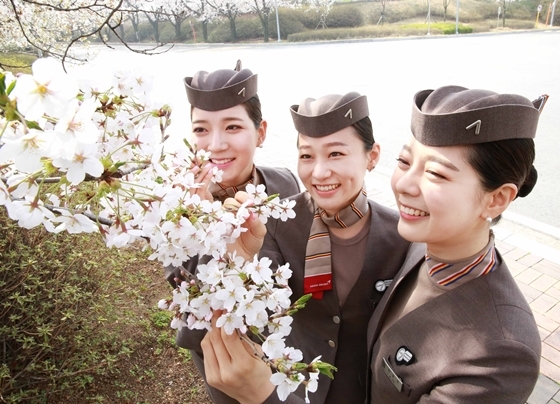 NSP통신-봄기운이 완연한 10일 서울 강서구 오쇠동 소재 아시아나항공 본사에서 캐빈승무원들이 만개한 벚꽃을 즐기고 있다.