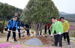 [NSP PHOTO]전남도, 순천 마을숲 조성사업 실시