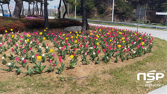 NSP통신- (고창군)