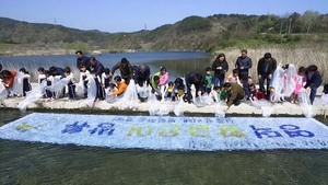 [NSP PHOTO]영덕군, 영덕황금은어 방류행사 개최