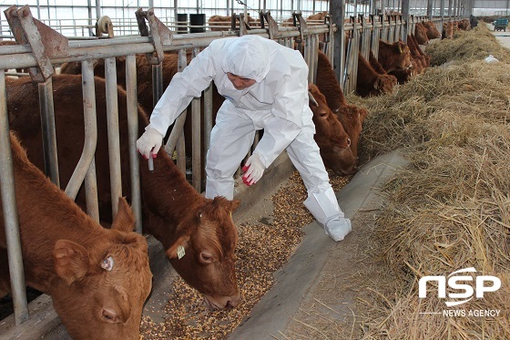 NSP통신- (남원시)