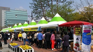 [NSP PHOTO]강진·장흥·영암군 남도 청정 농특산물, 서울 소비자 찾는다