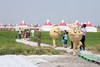 [NSP PHOTO]군산꽁당보리축제가 기다려진다