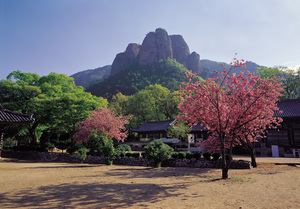 [NSP PHOTO]청송군 주왕산국립공원, 봄철 산불조심기간 통제탐방로 개방