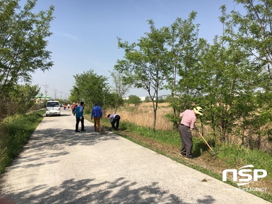 NSP통신-광주 광산구 평동 주민들이 코스모스 길을 조성하고 있다. (광주 광산구)