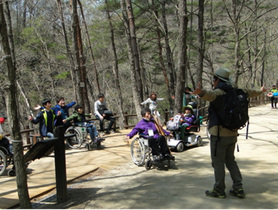 [NSP PHOTO]청송군 주왕산국립공원, 생태나누리 캠프 운영